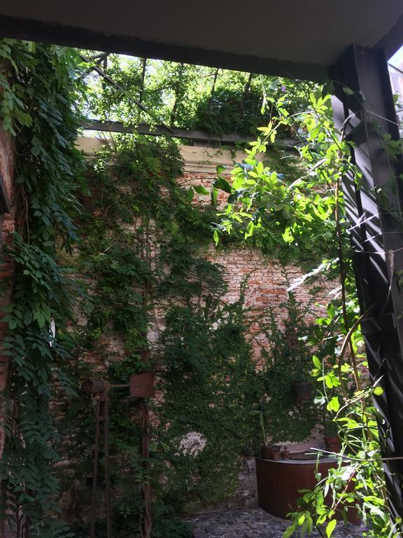 El Patio De Las Glicinas Колония дел Сакременто Екстериор снимка